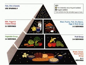 USDA Food Pyramid