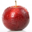 An Apple A Day An apple is the fruit of the Apple tree, which has its origins in Asia and is included in the species Malus domestica and Rosaceae family. Because of its nutritional...