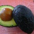 The avocado refers to a fruit that is commonly pear-shaped, but is also at times spherical or egg-shaped. This fruit is also known as the alligator pear and has the...