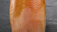 “Danish-Style Smoked Salmon” Recalled for Possible Salmonella Contamination Foodfest Int’l 2000 Inc. and the CFIA recently announced a public warning and a recall on a specific smoked salmon product because of possible contamination. The said product may be...