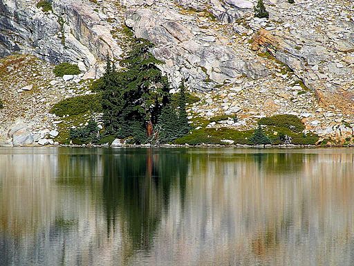 Spring_lake_reflections