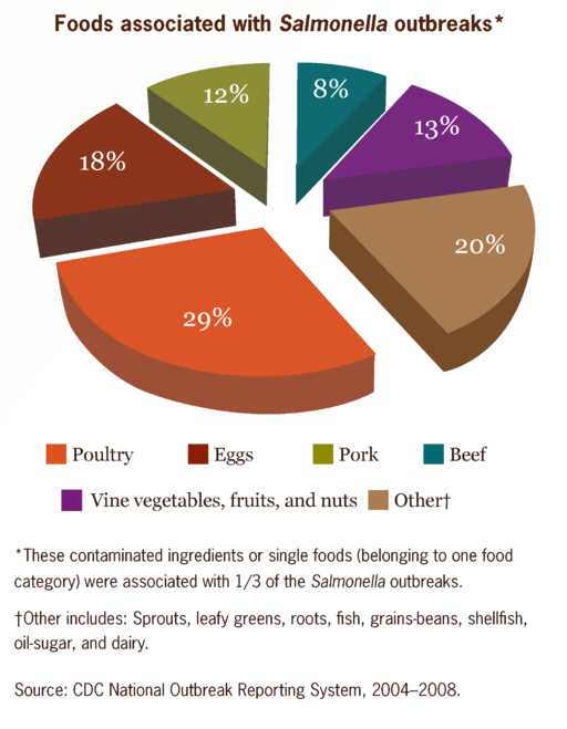 Foods_associated_with_Salmonella_outbreaks_in_US