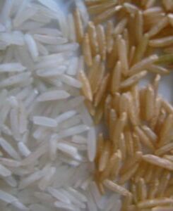 rice