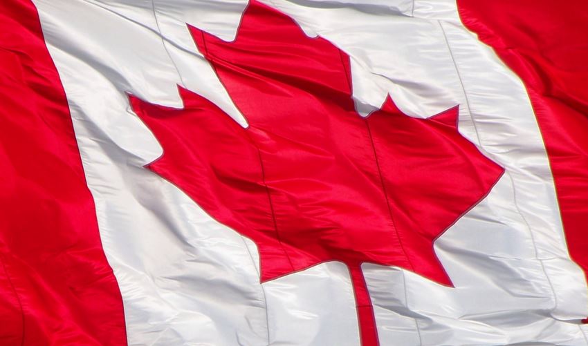 Canada Grocery Stores