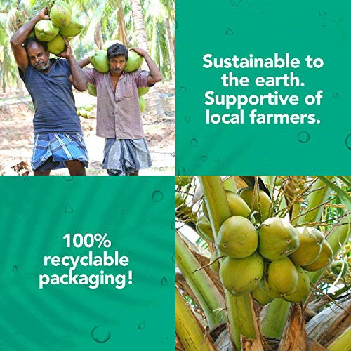 Taja Coconut Water - Raw Coconut Water With Natural Electrolytes