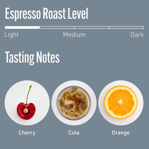 Intelligentsia Black Cat Classic Espresso - 12Oz - Medium Roast,