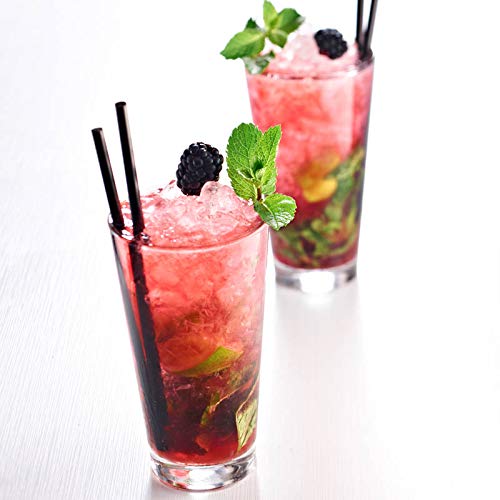 1883 Maison Routin - Mojito Mint Syrup - Made In France - Pet Bo