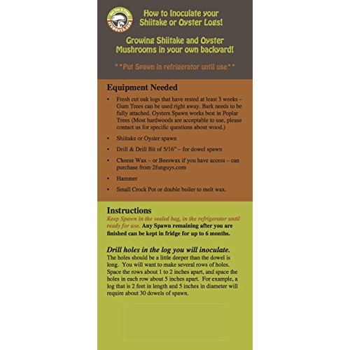 Oyster Mushroom Mycelium Plug Spawn - 100 Count - Grow Edible Go