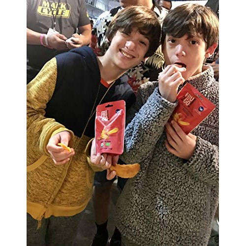 2Go! Snacks Organic Dried Fruit 4 Count Mixed, 1.76 Oz