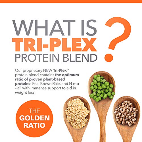 Mocha Plant Protein Powder And Meal Replacement Shake | Gluten, Mocha Plant Protein Powder And Meal Replacement Shake | Gluten,
