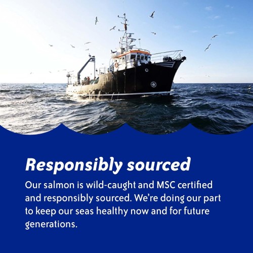 Chicken Of The Sea Pacific Smoked Salmon Skinless And Boneless P