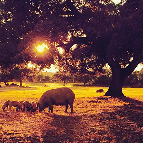 Cinco Jotas Paleta Iberico De Bellota Sliced Ham, Acorn Fed Prem