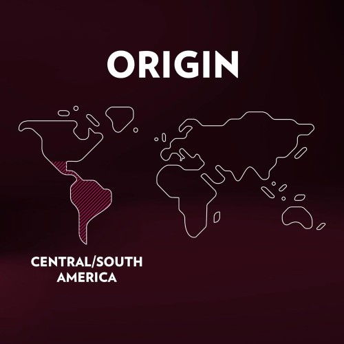 Lavazza Expert Espresso Aroma Piu Capsules 36 Capsules, Exper