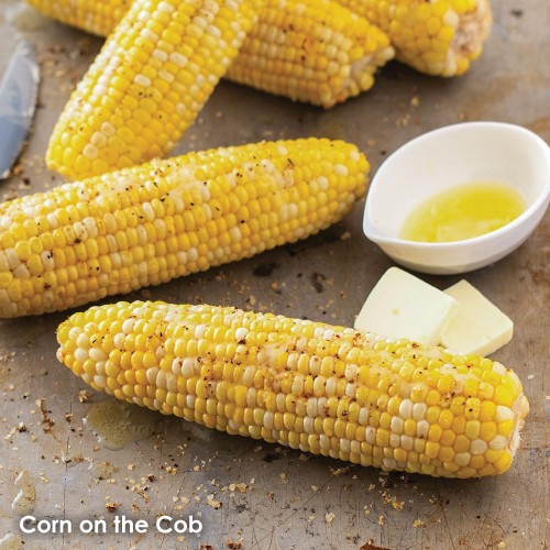 Tastefully Simple Seasoned Salt - Perfect For Beef, Chicken, Fis