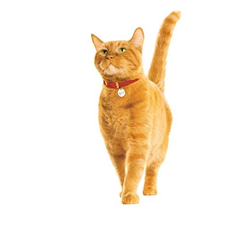 9Lives Hearty Cuts With Real Turkey In Gravy Wet Cat Food, 4/5.5