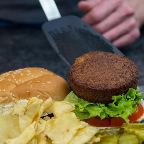 Loma Linda - Plant-Based - Vegetarian Burger 37.5 Oz. - Kosher