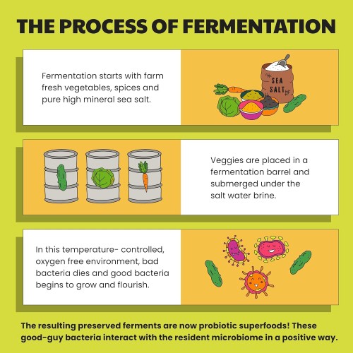 Olive My Pickle | Fermented &Amp; Probiotic Sauerkraut For Gut Healt