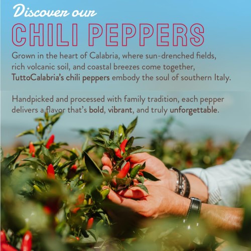 TUTTOCALABRIA Calabrian Chili Pepper Pieces, 10oz