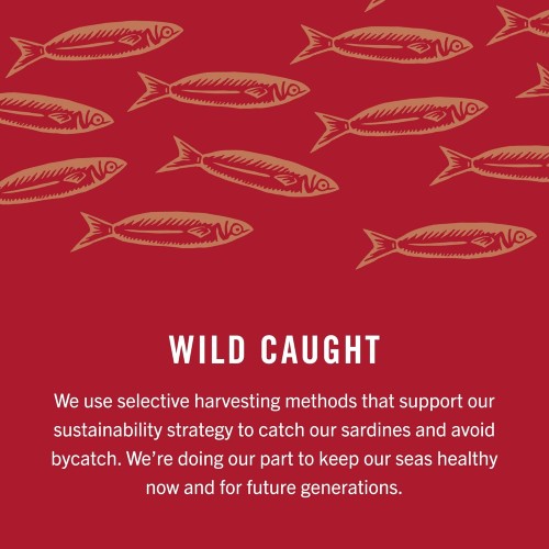 King Oscar Wild Caught Sardines Zesty Tomato, 3.75 Ounce Pack O