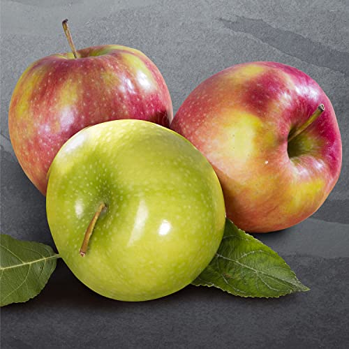 Classic Fresh Fruit Basket Gift With Crackers, Cheese And Nuts F