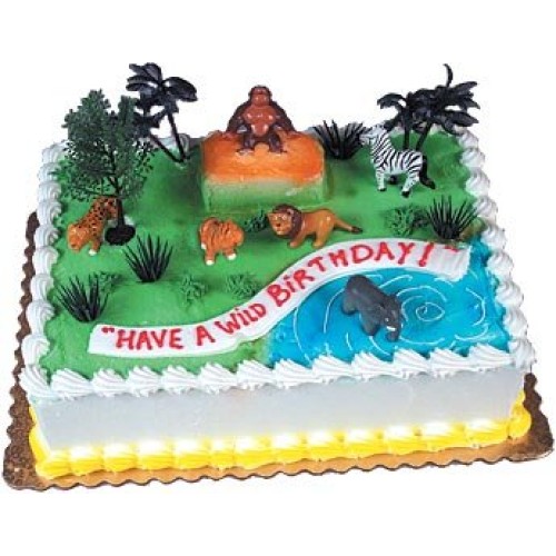 Cake Decorating Kit Cupcake Decorating Kit Sports Toys Wild Rai