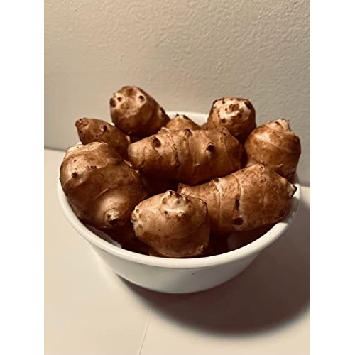 Jerusalem Artichokes Sunchoke Or Sunroot Adama Foods - 2 1/2 P