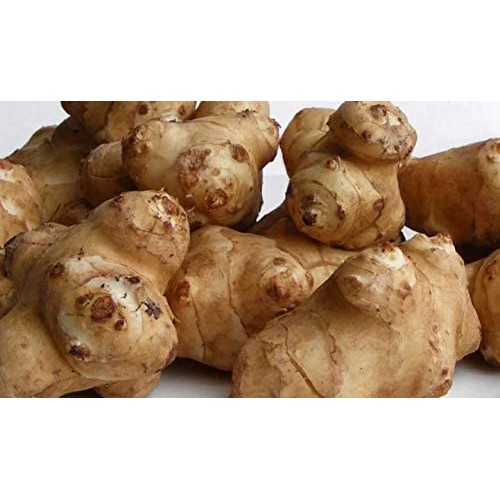 Jerusalem Artichokes Sunchoke Or Sunroot Adama Foods - 2 1/2 P