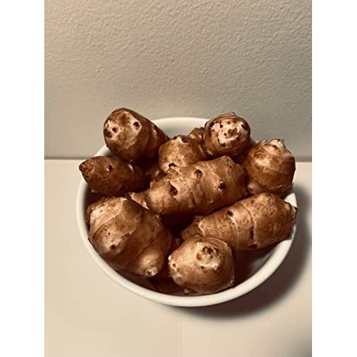 Jerusalem Artichokes Sunchoke Or Sunroot Adama Foods - 2 1/2 P