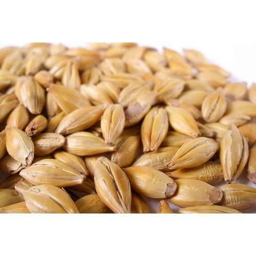 5 Lb Crystal 20 L Malt