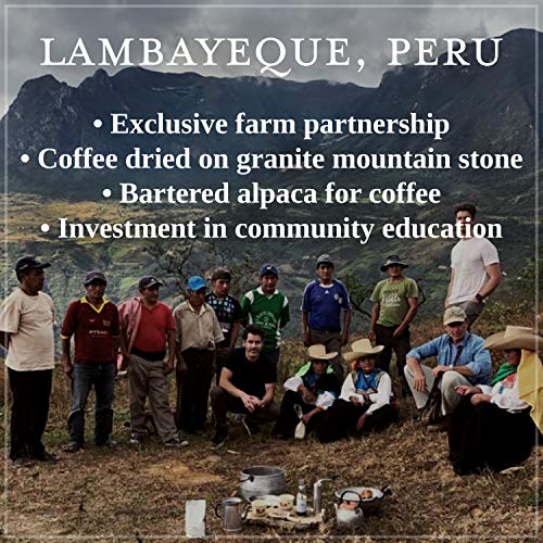 Magical Cold Brew | Afficionado Coffee Roasters | 100 Fl Oz | Pe