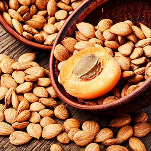 Bitter Apricot Kernels Organic Raw 1Lb-100% Usda Organic Certi