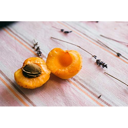 Bitter Apricot Kernels Organic Raw 1Lb-100% Usda Organic Certi