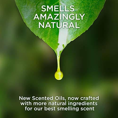 Air Wick Plug In Scented Oil 5 Refills, Lavender And Chamomile,