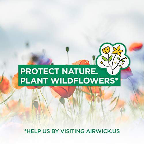 Air Wick Plug In Scented Oil 5 Refills, Lavender And Chamomile,