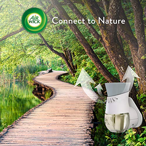 Air Wick Plug In Scented Oil 5 Refills, Lavender And Chamomile,