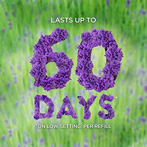 Air Wick Plug In Scented Oil 5 Refills, Lavender And Chamomile,