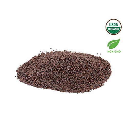 Aiva Organic Brown Mustard Seeds Rai 3.5 Oz