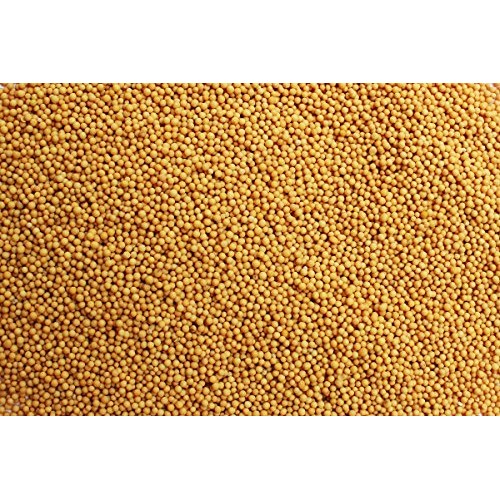 Yellow Mustard Seeds 1 Lb