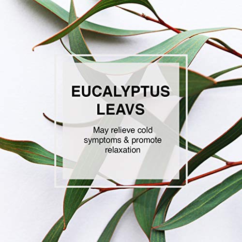 Calm Sleep Organic Herbal Health Tea, Infused With Papaya, Guava