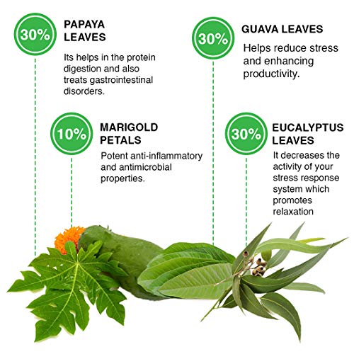 Calm Sleep Organic Herbal Health Tea, Infused With Papaya, Guava