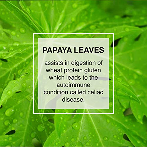 Calm Sleep Organic Herbal Health Tea, Infused With Papaya, Guava