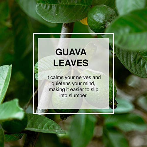 Calm Sleep Organic Herbal Health Tea, Infused With Papaya, Guava