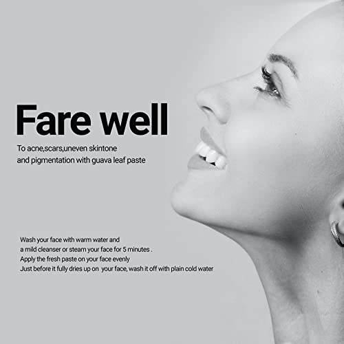 Akshit Organic Dried Guava Leaves, Hojas De Guayaba, Guava leaf ...