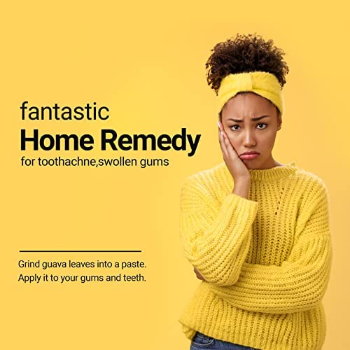 Akshit Organic Guava Leaves, Dried From Natural Guava Leaf, Caff...