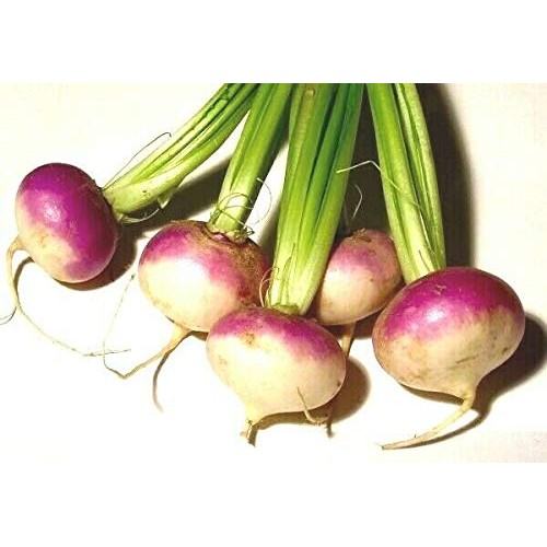 Mid East Pickled Turnips Premium Quality 32Oz Each - 1 Single Gl