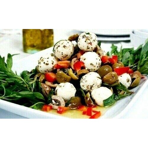 Baroody Plain Pickled Labneh Balls Dry Yogurt In Oil 2 Glass