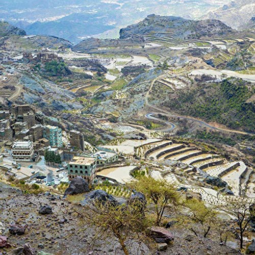 Al-Aqeeq: Mocha-Yemeni Whole Bean Coffee| Authentic Yemeni Coffe