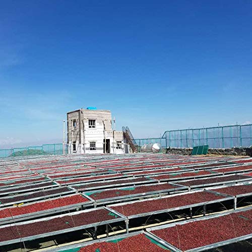 Al-Aqeeq: Mocha-Yemeni Whole Bean Coffee| Authentic Yemeni Coffe