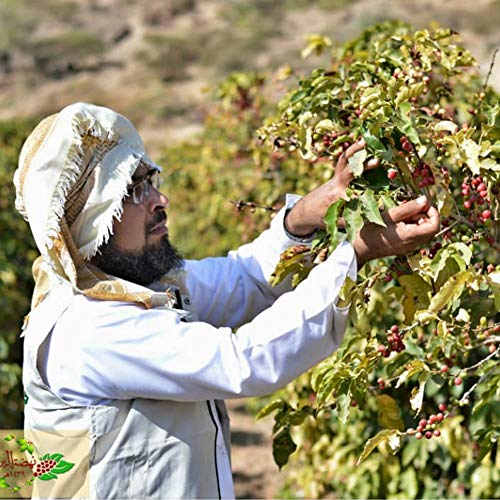 Al-Aqeeq: Mocha-Yemeni Whole Bean Coffee| Authentic Yemeni Coffe