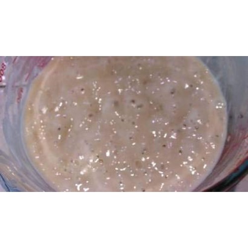 Alaskan Sourdough Starter Made In Alaska